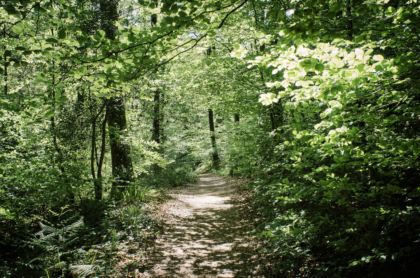 Forêt de Huelgoat – Légendes et balades Forêt de Huelgoat - Légendes et balades