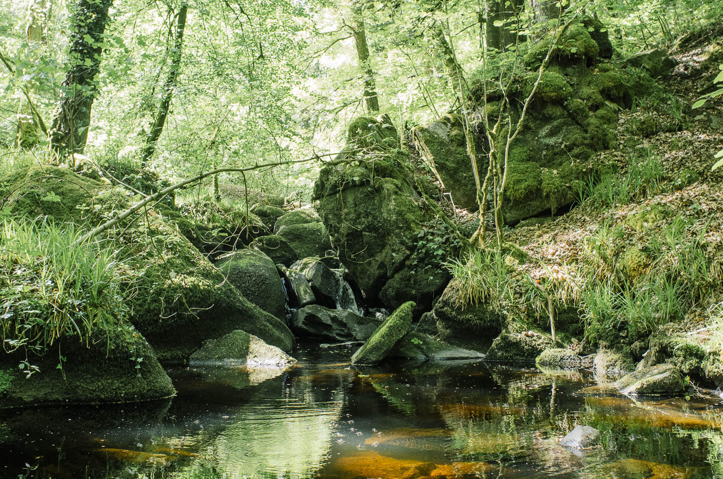 Forêt de Huelgoat - légendes et balades