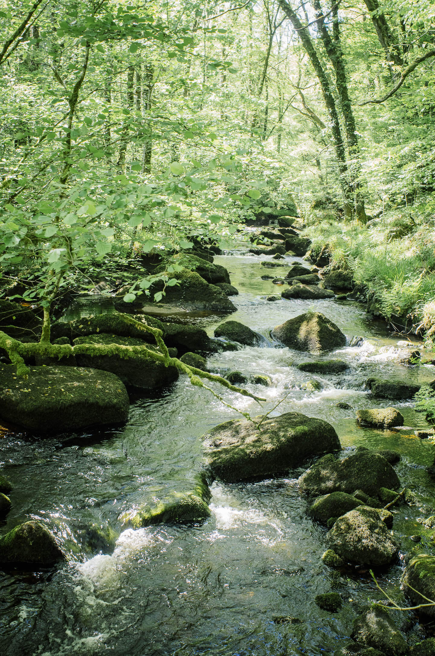 Forêt de Huelgoat - légendes et balades