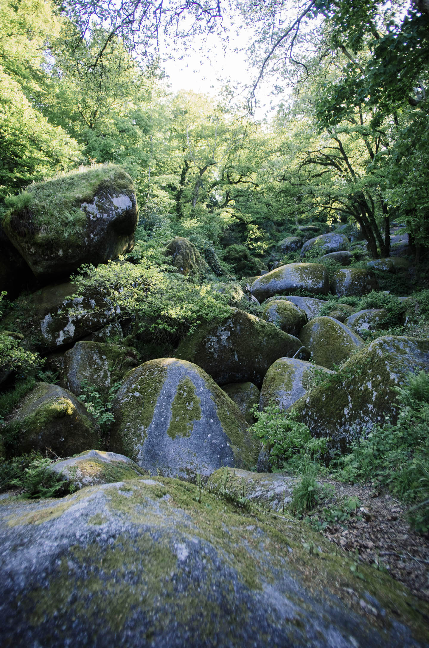 Forêt de Huelgoat - légendes et balades