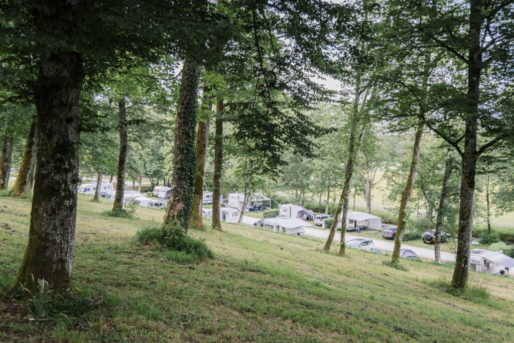 Lac du Der - Le camping du Buisson