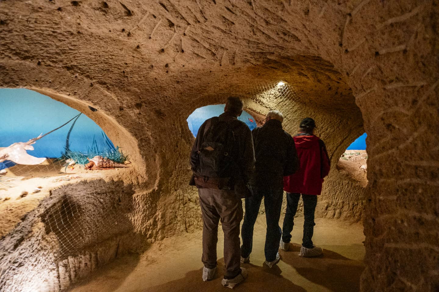 Montage de Reims - Les collections de la cave aux coquillages