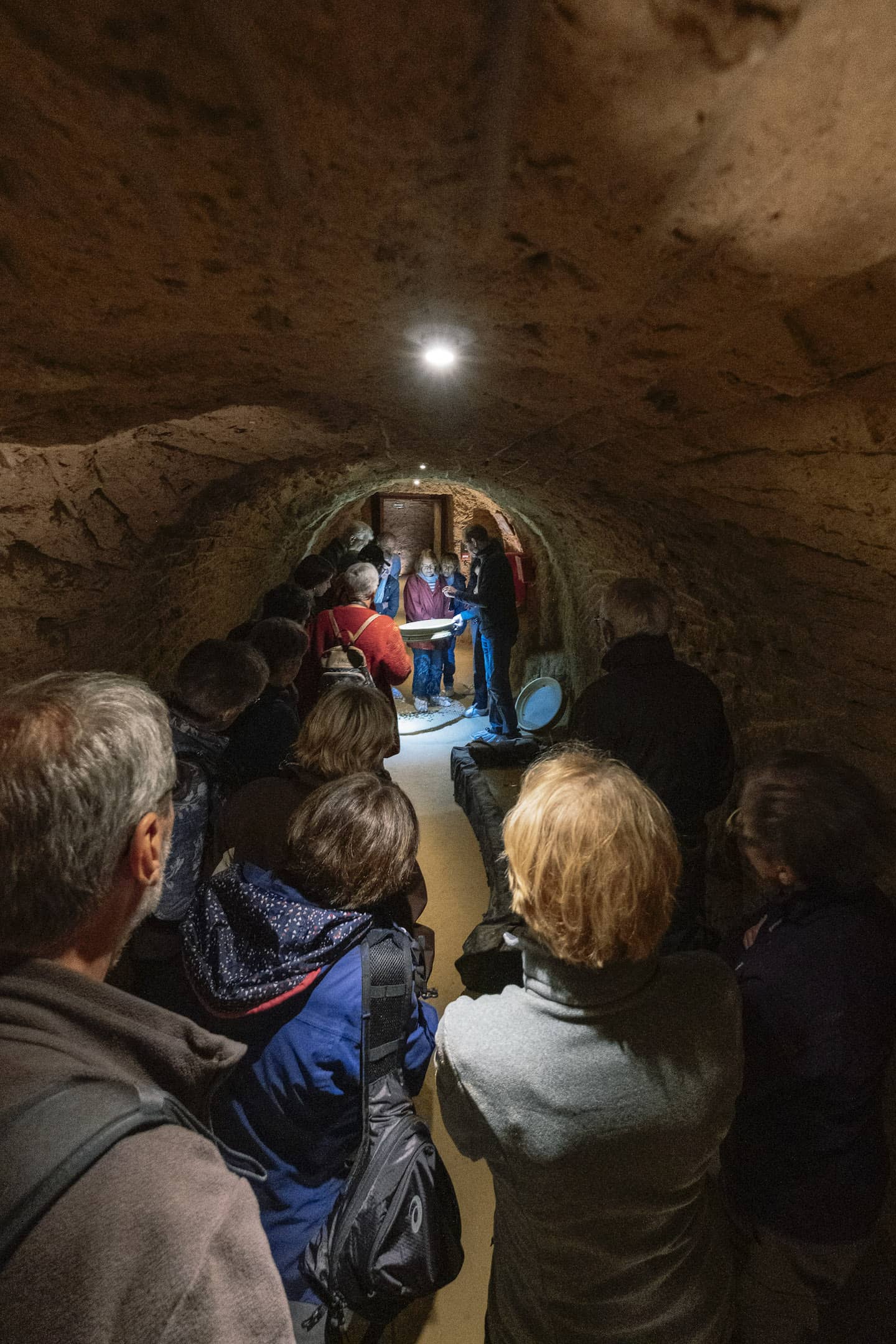 Montagne de Reims - Dans les galeries de la cave aux coquillages