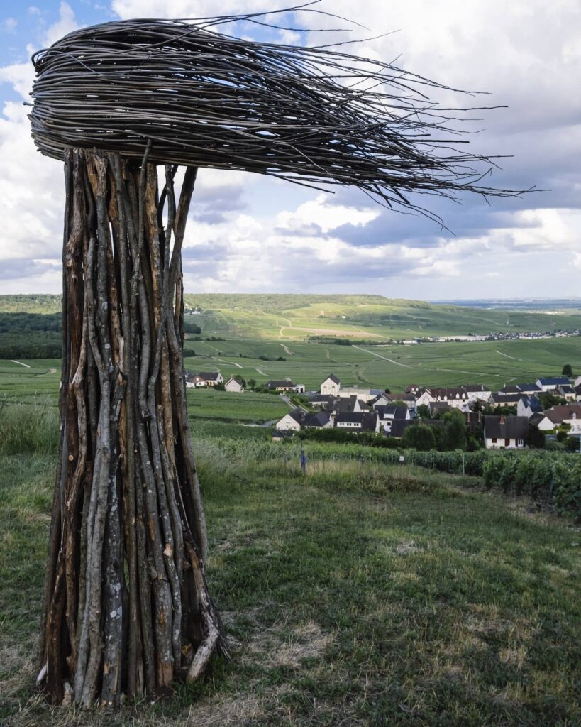 Montagne de Reims - Vue sur la vallée de la Marne