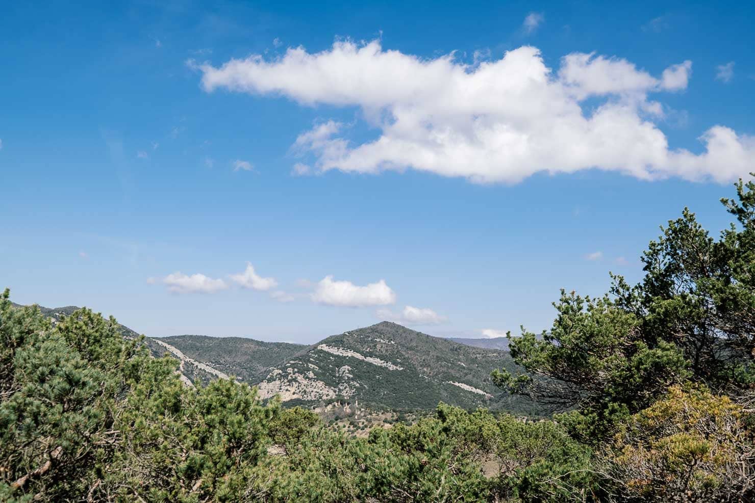 Paysage typique de la Drôme provençale sur le GR9