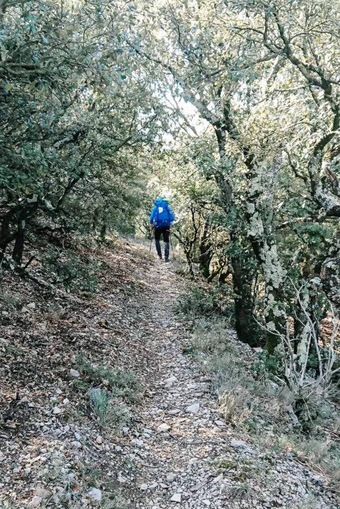 Le GR9 sous les buis de la montagne de Lance