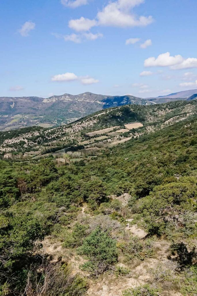 Vue panoramique depuis le GR9 sur le PNR des baronnies provençales
