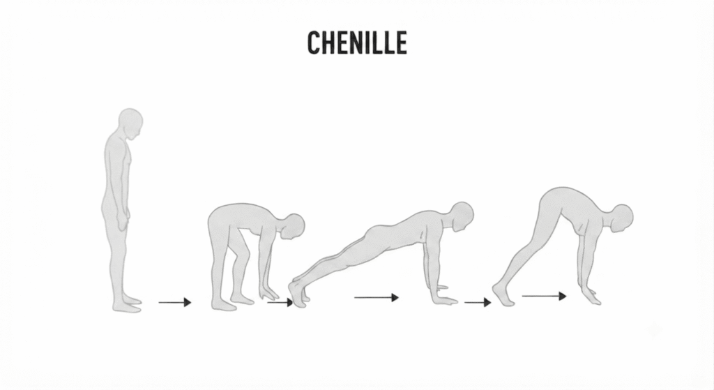 Préparation physique proba AMM - chenille