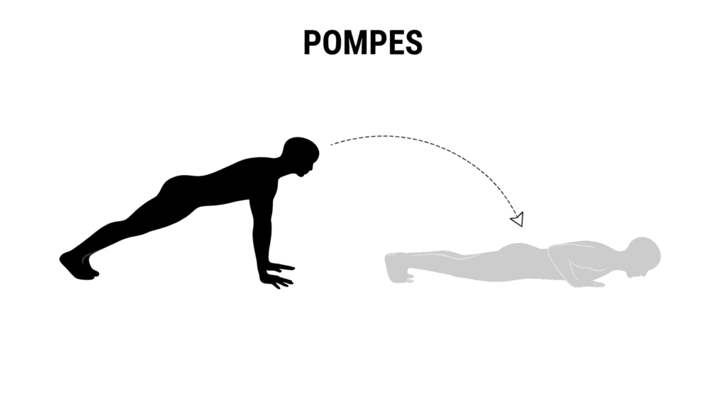 Préparation physique proba AMM - pompes