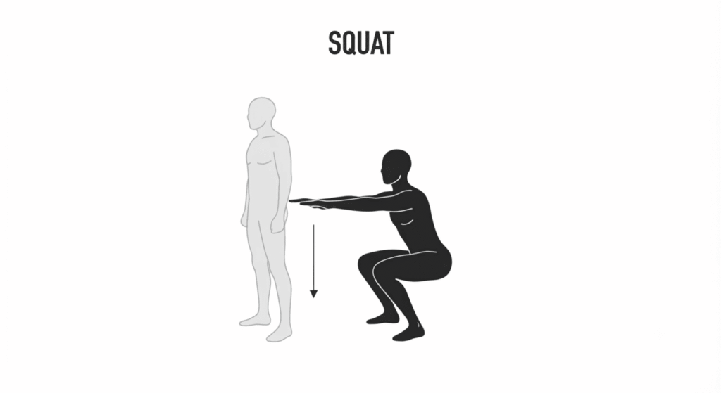 Préparation physique proba AMM - Squat